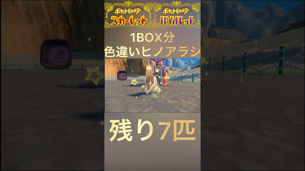 【ポケモンSV】色違いヒノアラシ1BOX分チャレンジ23匹目！#shorts