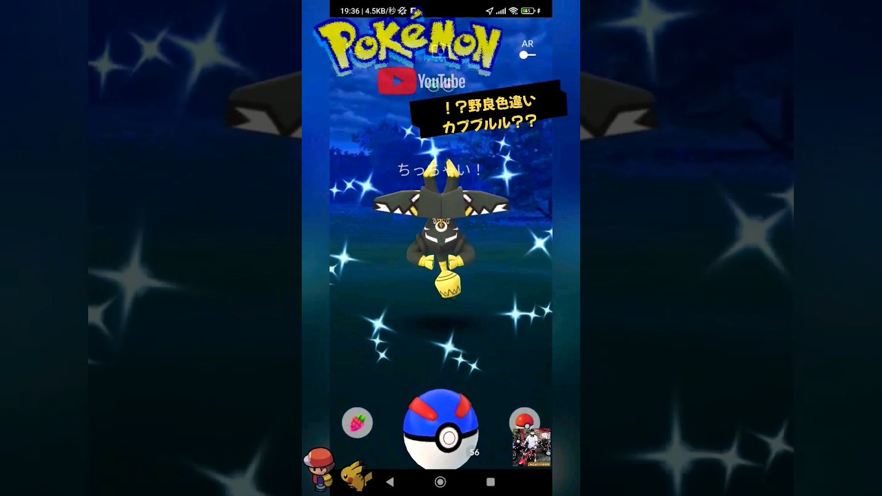 【Pokémon GO】なぁっ？！野良色違いカプブルルだとぉっ〜ぉ！？（再ちいかわ×コメダ珈琲店）