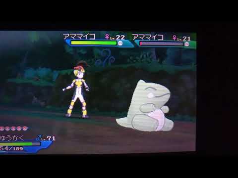 USUM 助け連鎖　アママイコ　156連鎖目！　可愛い草統一パを作りたい！