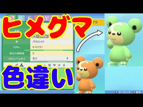 色違いのヒメグマが生まれる【#shorts 】