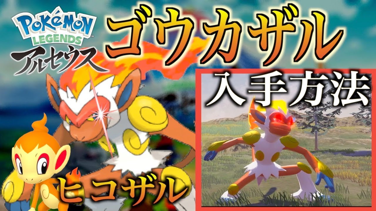 【ポケモンレジェンズアルセウス】ゴウカザル&ヒコザルの入手場所はこちら！行くだけ簡単入手！