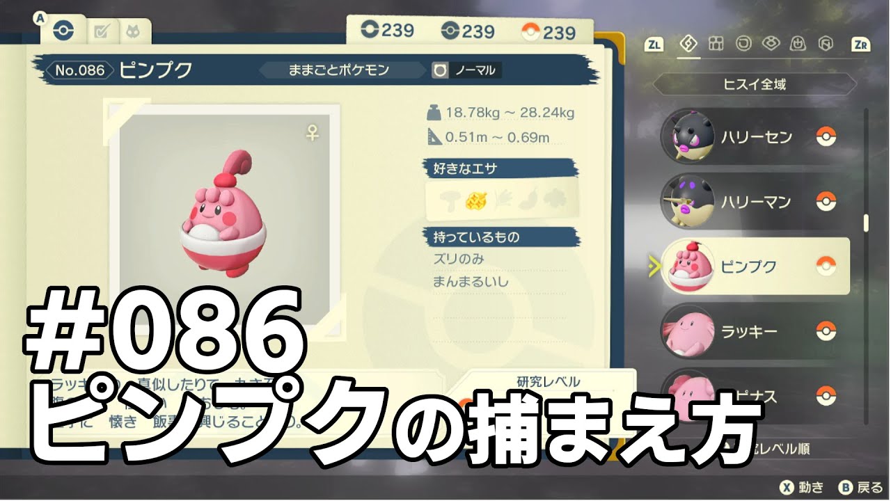 ピンプクを探している方に見てほしい動画