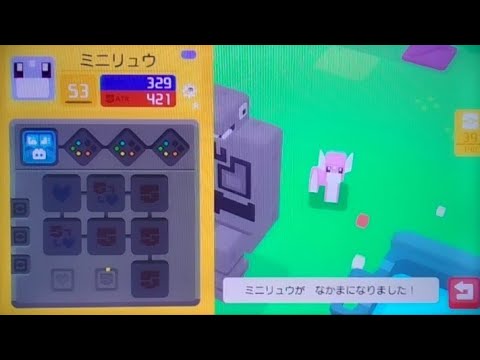 ミニリュウの色違いきちゃー　ポケモンクエスト#11