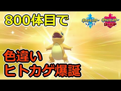 だらだら孵化作業してたら色違いヒトカゲが産まれた【ポケモン剣盾/ソードシールド】