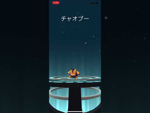 色違いポカブをエンブオーに進化！/SHINY Tepig evolution!!!【ポケモンGO】 #shorts