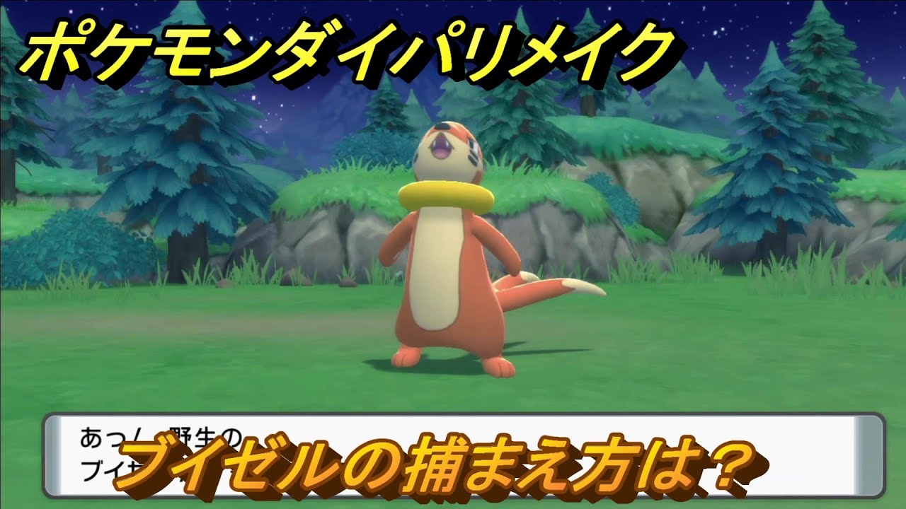 ポケモンダイパリメイク　ブイゼルの捕まえ方は？出現場所は？　最新版【ブリリアントダイヤモンド・シャイニングパール】