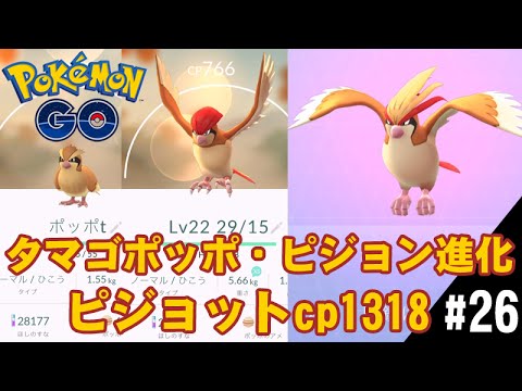 【ポケモンGO】タマゴポッポ・ピジョン進化でピジョットcp1318