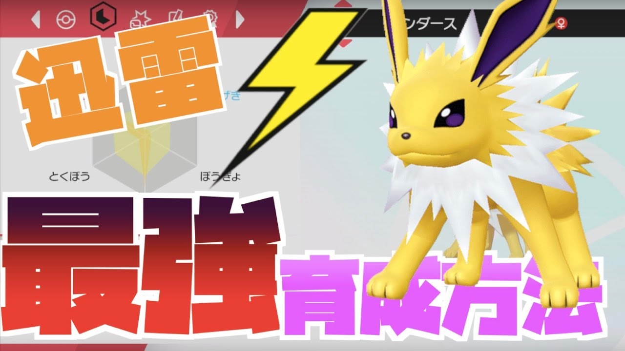 （ポケモン剣盾）サンダース育成論！ランクマ用最速迅雷がチート級！？（ポケモンソードシールド）（エーフィグレイシアリーフィアブラッキーニンフィアシャワーズイーブイブースター）ブイズ