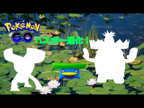 ポケモンGO ハスボー進化！