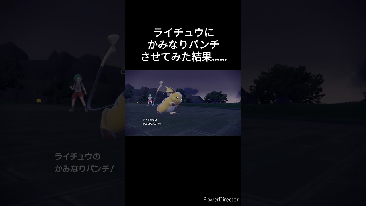 ライチュウにかみなりパンチさせてみた結果！！！？！！？