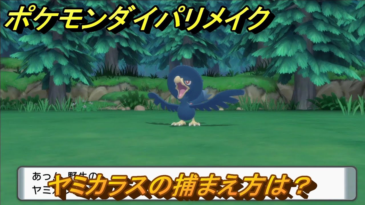 ポケモンダイパリメイク　ヤミカラスの捕まえ方は？出現場所は？　最新版【ブリリアントダイヤモンド・シャイニングパール】