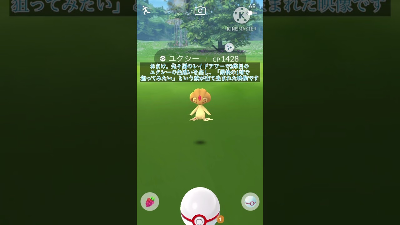 UBの中では1番好きなウツロイドの色違いだー！！(＋色違いをラスイチで捕まえる)[ポケモンGO]