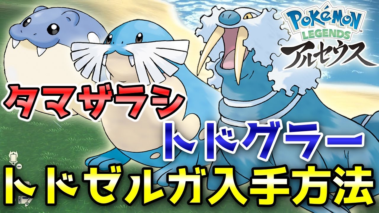 【アルセウス】タマザラシ・トドグラー・トドゼルガ入手方法！オヤブンは戦わずに捕獲します！【ポケモン レジェンズ】