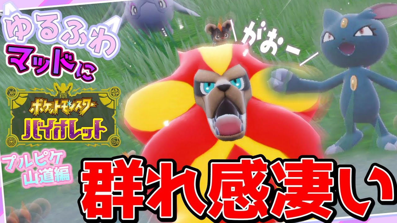 【ポケモンSV】《ﾃﾝｼｮﾝ爆上がり》にゅにゅにゅニューラじゃん！"カエンジシ"の群れ感が凄い‼ -プルピケ山道編-『ゆるふわマッドに【ポケットモンスターバイオレット】』【冒険編】#38