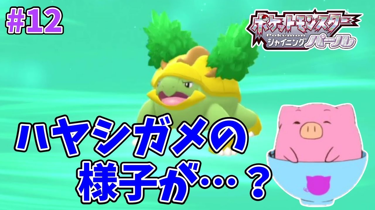 #12　旅の相棒、ハヤシガメに変化が！！【ポケットモンスターシャイニングパール】