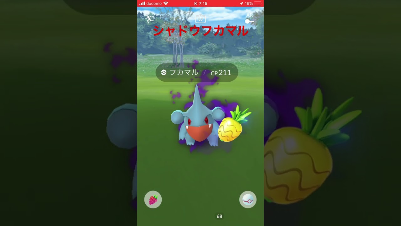 シャドウ フカマル