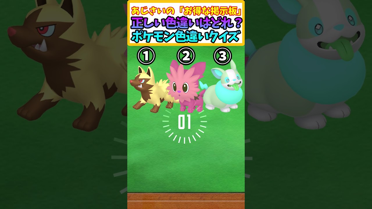 【ポケモンSV】ポチエナ・ヨーテリー・ワンパチの中で正しい色違いが誰かわかる?＃55 【ポケモン色違い】