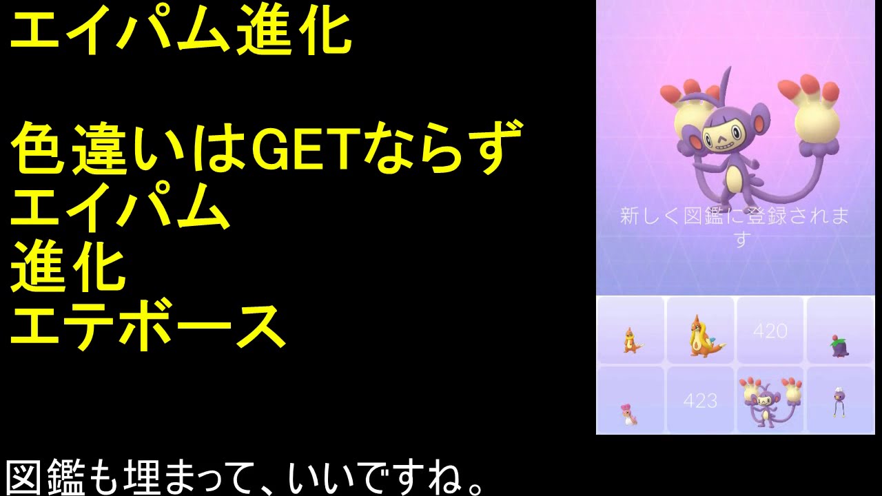 エイパム進化エテボース【ポケモンGO】