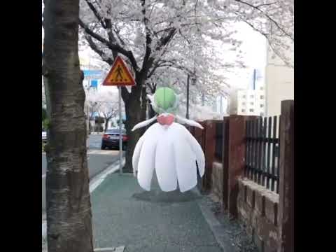 메가가디안 ( Mega Gardevoir ) メガサーナイト ( 沙奈朵 )