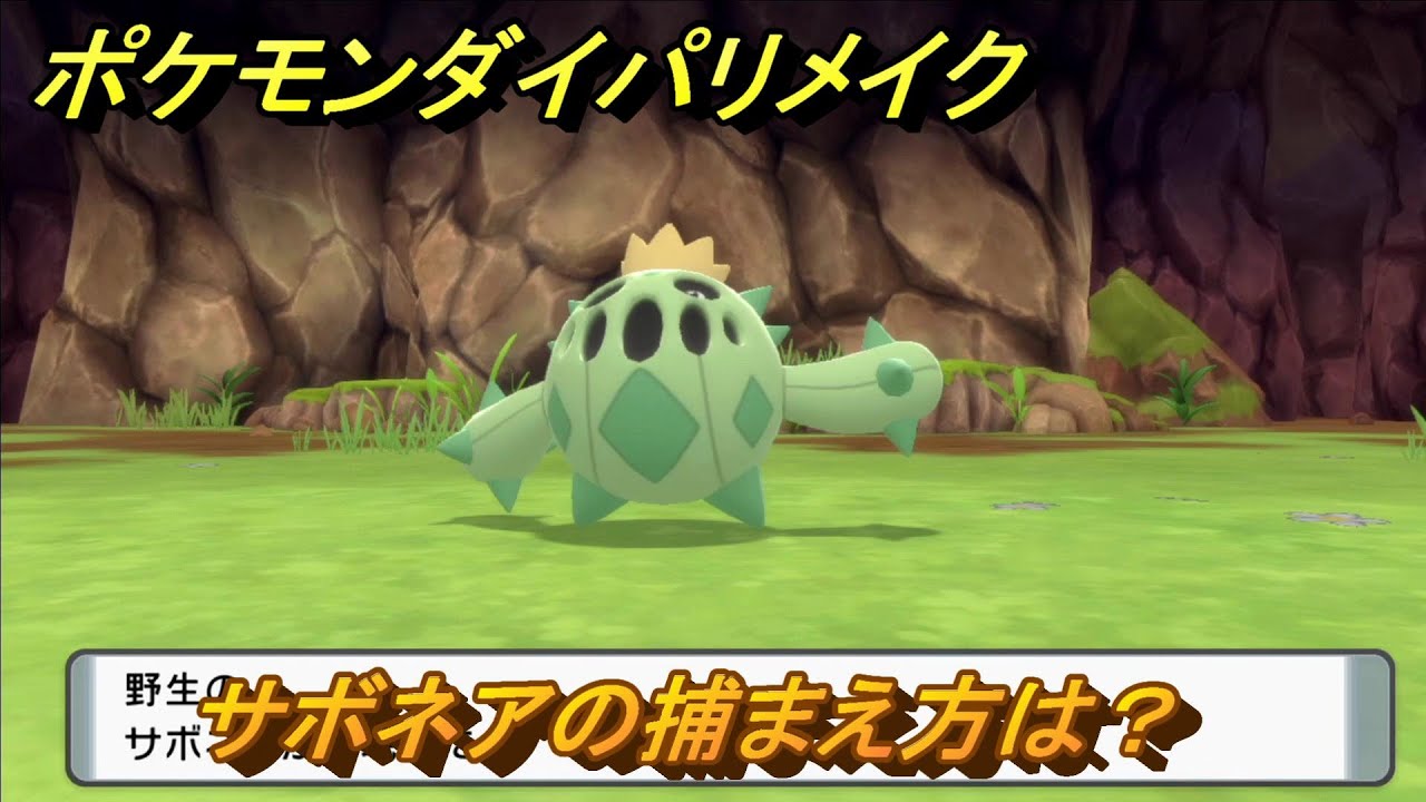 ポケモンダイパリメイク　サボネアの捕まえ方は？出現場所は？　最新版【ブリリアントダイヤモンド・シャイニングパール】