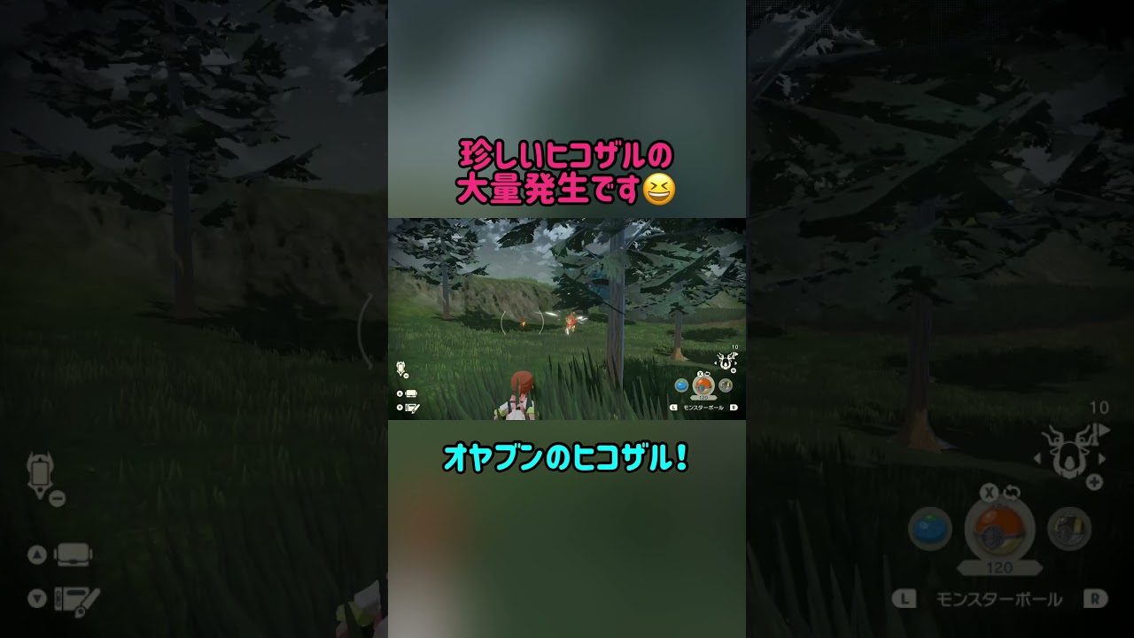 【ポケモン】ヒコザルの大量発生行って来ました😆【Pokémon LEGENDS アルセウス】