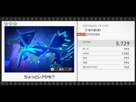 【Newポケモンスナップ】★3ヤミカラス5729