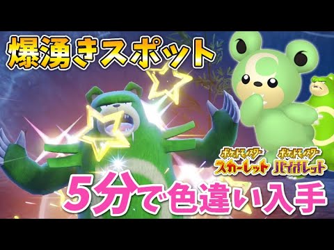 【ポケモンSV】今すぐ手に入る！色違いリングマ・ヒメグマを簡単に捕まえる厳選方法