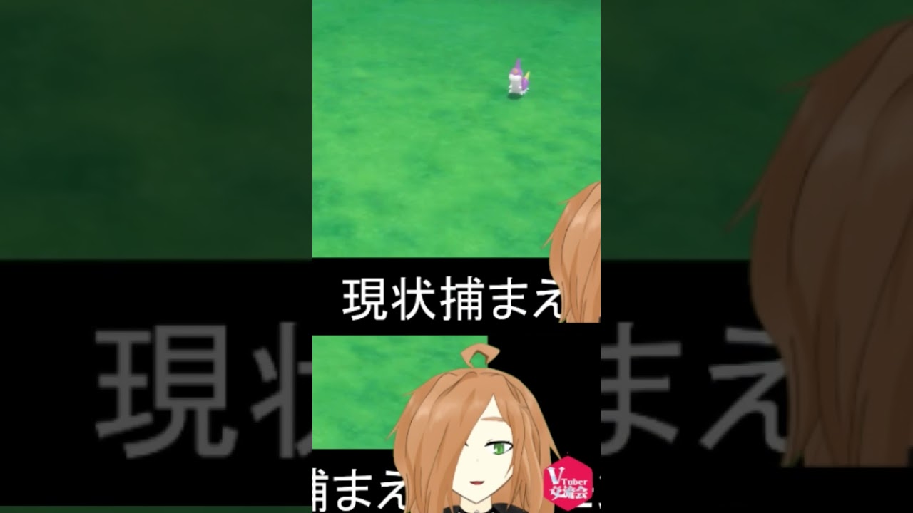 【ポケモンBDSP】色違いケムッソの2匹目がでてさすがに笑うこんぶ。【Vtuber交流会】#Shorts
