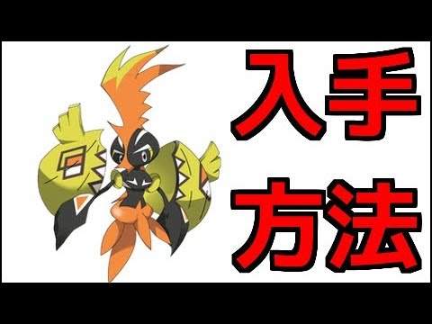 【ポケモンウルトラサン】カプ・コケコ入手方法【ポケモンウルトラサンムーン】