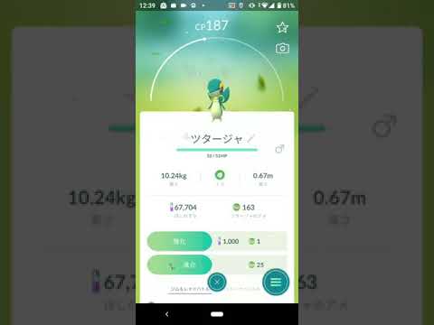 色違いツタージャをジャローダに