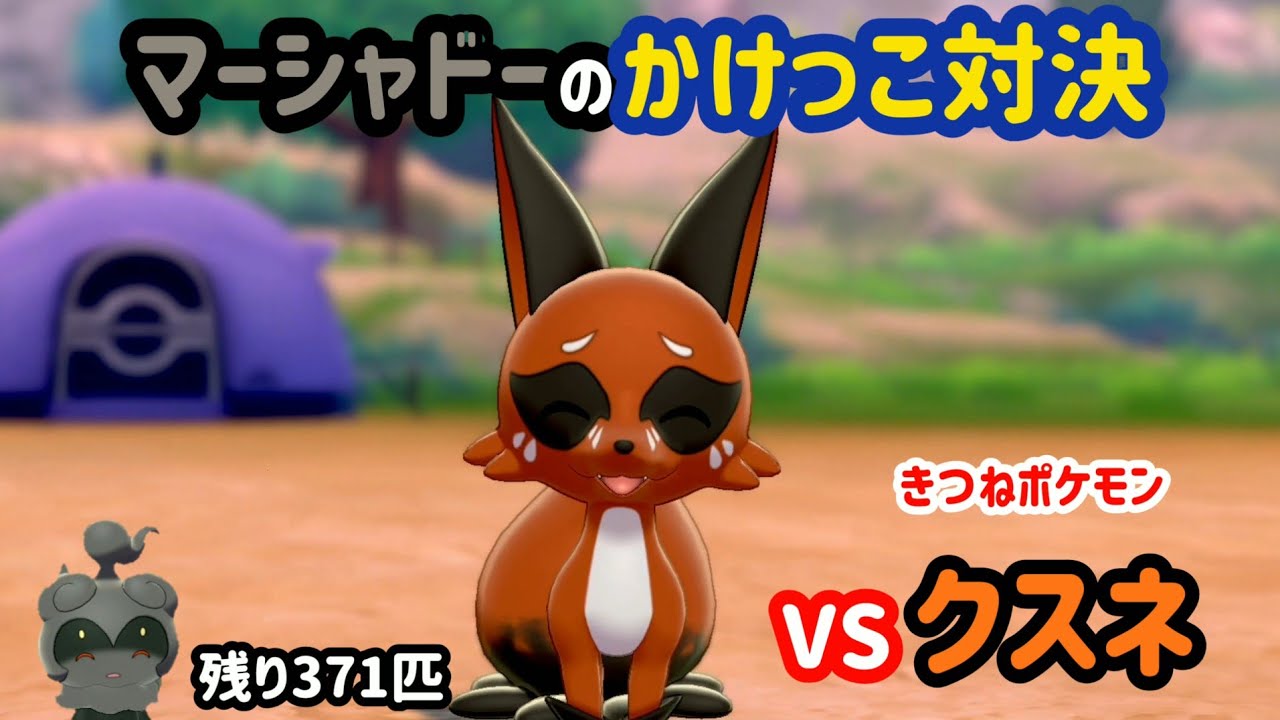 VSクスネ ガラル図鑑No.29 【マーシャドーのかけっこ対決】