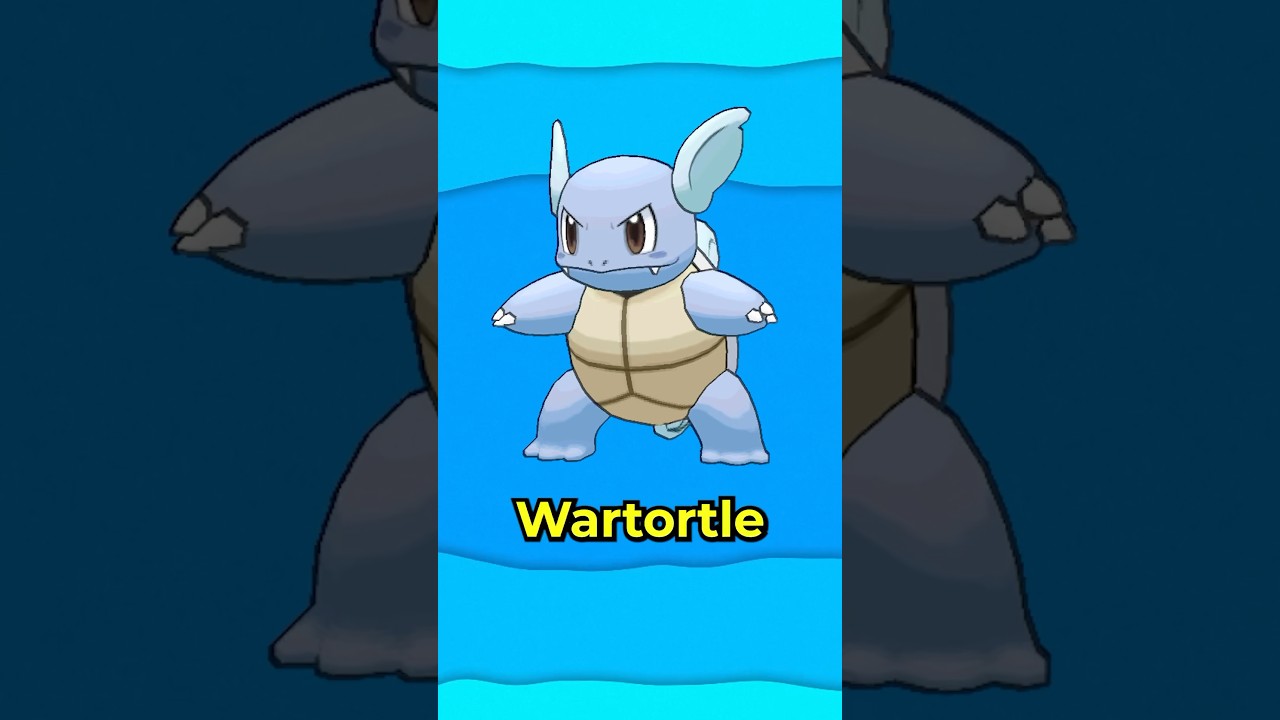Unusual Random Facts About Wartortle Pokémon You Probably Didn’t Know