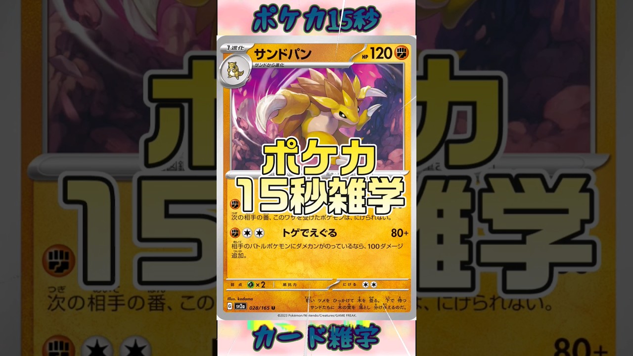 [ポケモンカード]ポケカ15秒雑学‼️サンドパン‼️ #pokemon #ポケモンカード #shorts