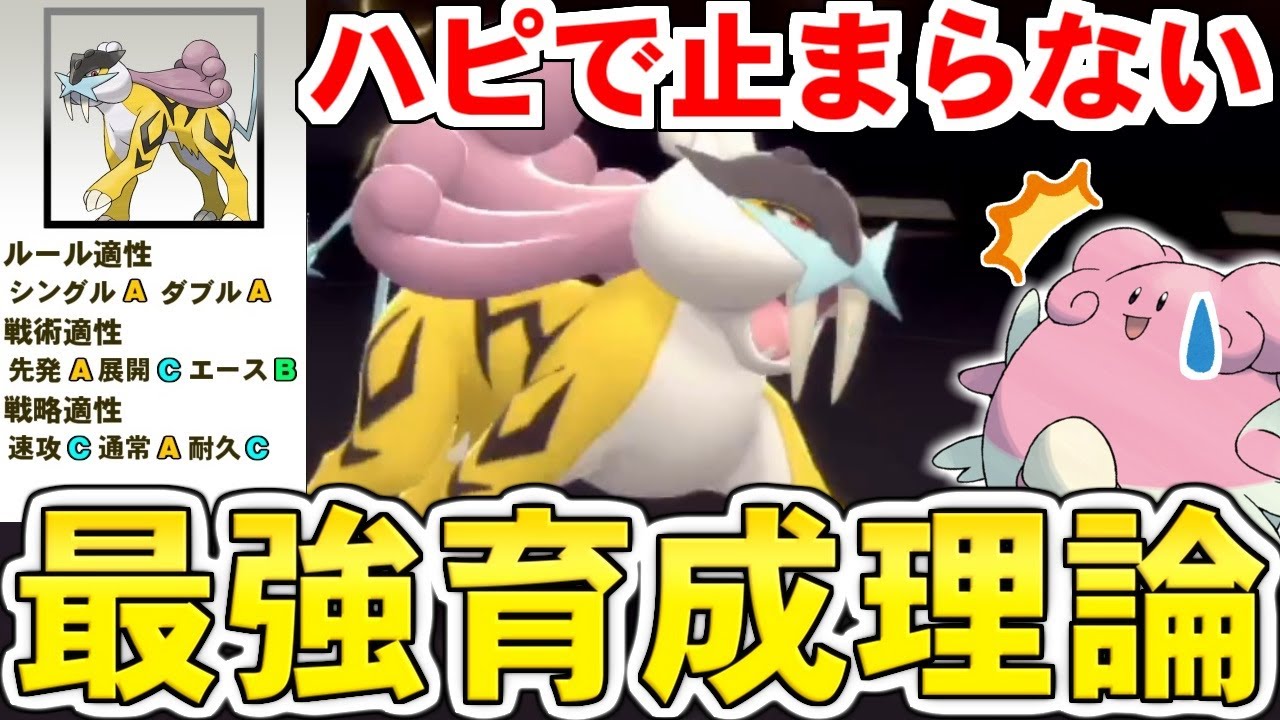 【ゆっくり解説】ハピナスで止まらない！？ ライコウを最強に活躍させる育成理論 ～ 瞑想＋眠るカゴ型が最強である理由～【ポケモンBDSP/ダイパリメイク】