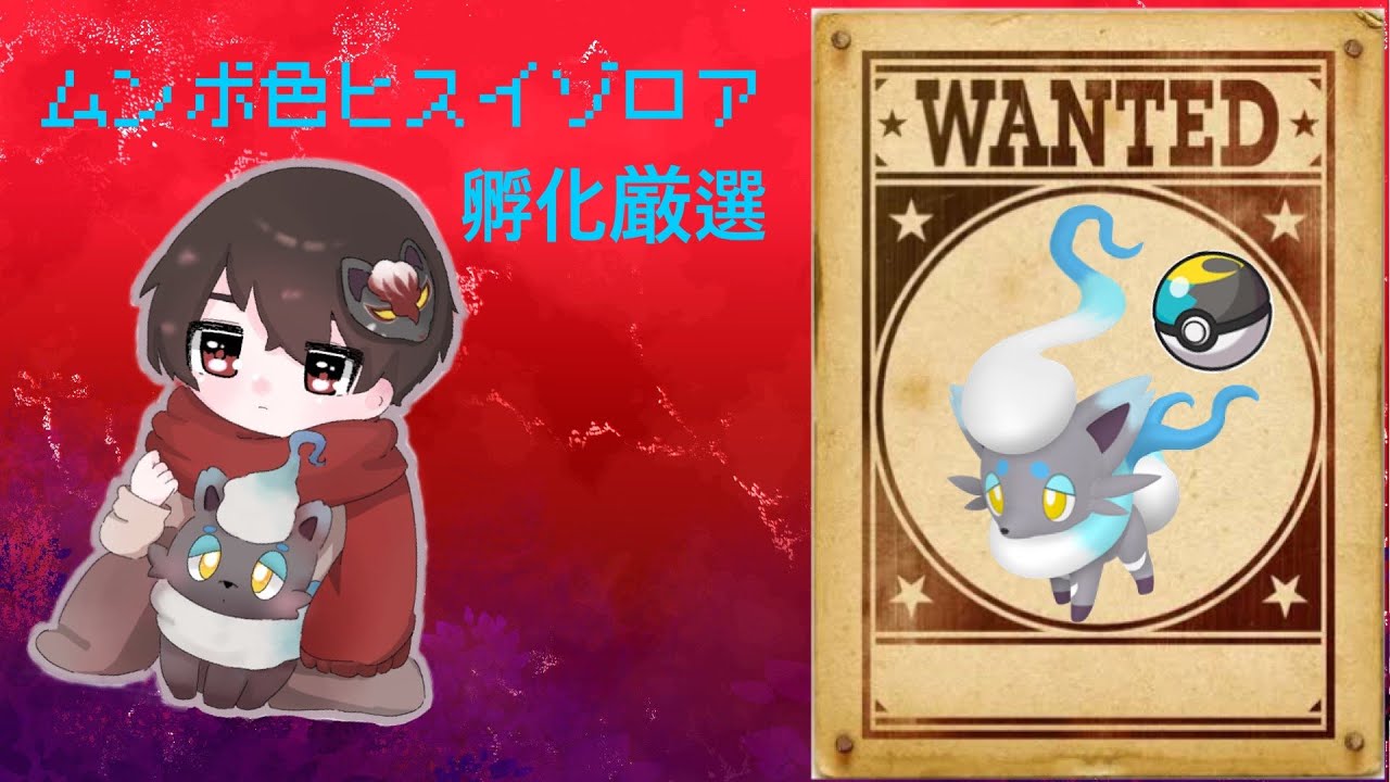 色ヒスイゾロア！！！出てくれーーーー！！！！