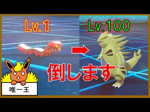 【剣盾】Lv 1ヤクデでLv 100バンギラスを倒す【ポケモンゆっくり解説】