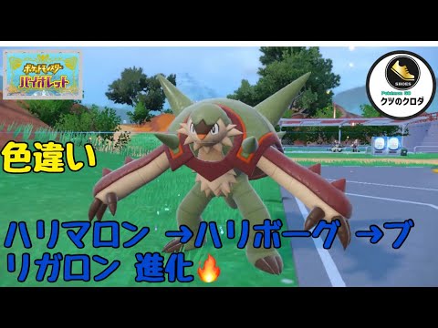 【ポケモンSV】Shiny Chespin → Quilladin → Chesnaught Evolve 🔥