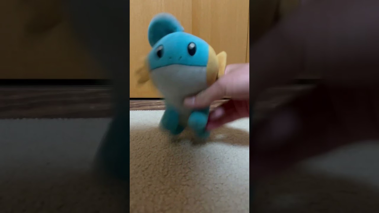 突進ミズゴロウ#shorts #ミズゴロウ