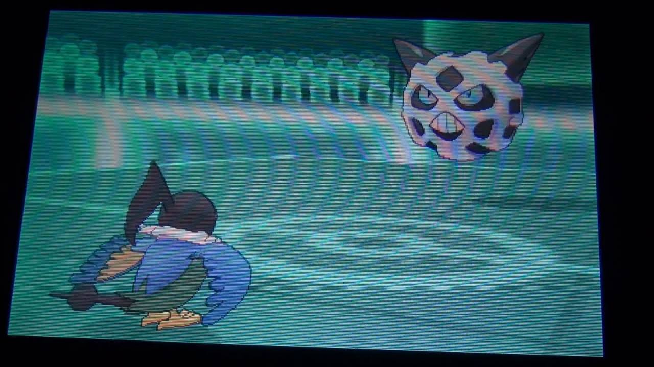 まひしたペラップがつよいはずがない【ポケモン】