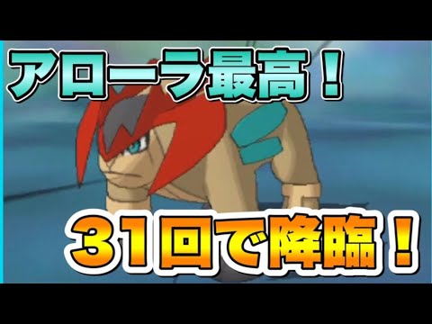 たった１０分で色違いテラキオンを出して発狂する男　【ポケモンUSUM】