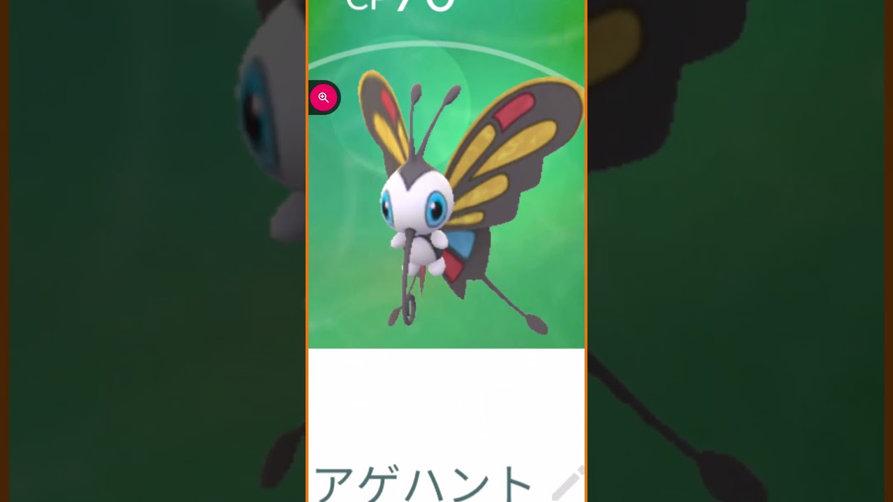 ＃shorts◇野生のアゲハント＃502