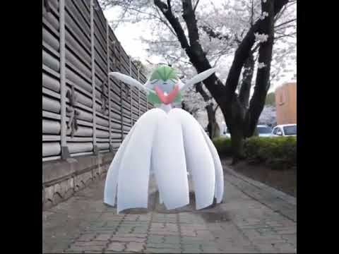 메가가디안 ( Mega Gardevoir ) メガサーナイト ( 沙奈朵 )