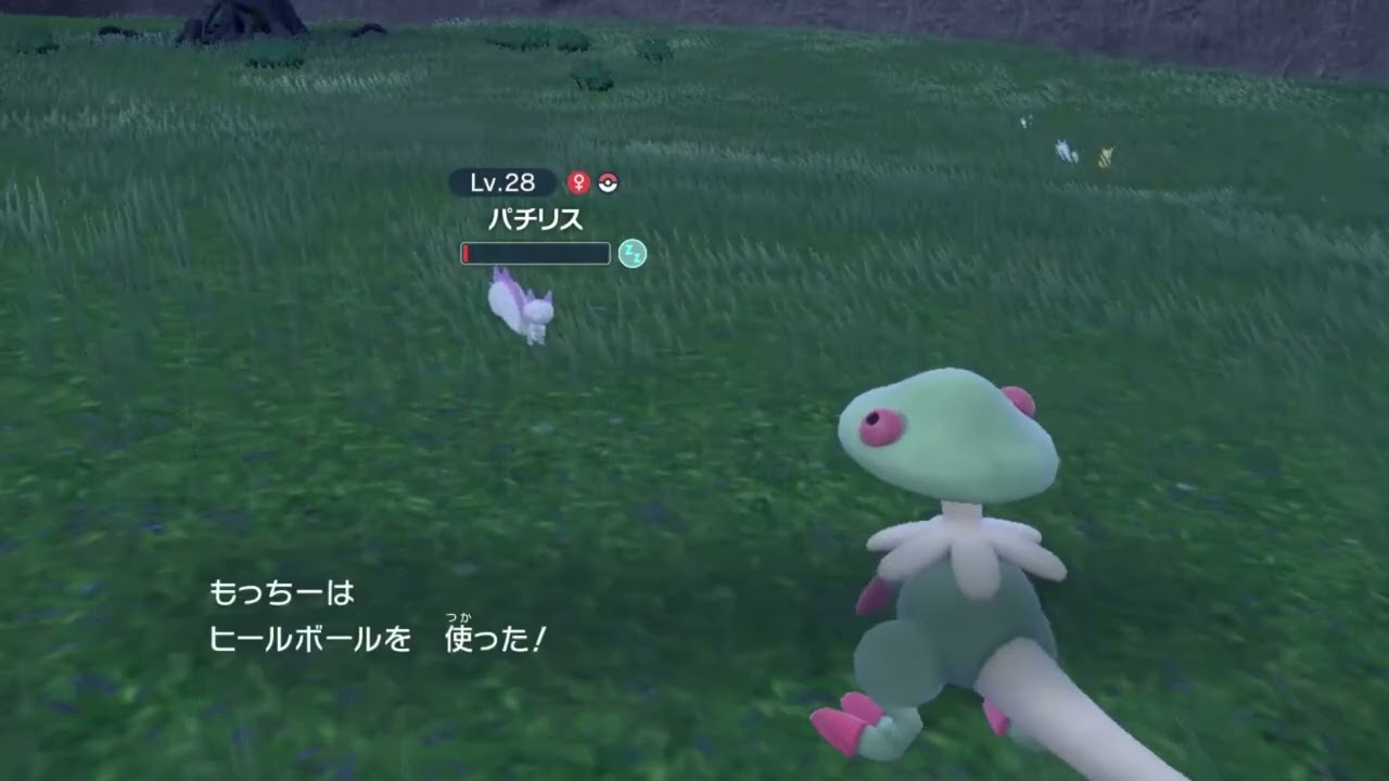 パチリスの色違いゲット！可愛すぎる〜😻　ポケモンSV PokemonSV