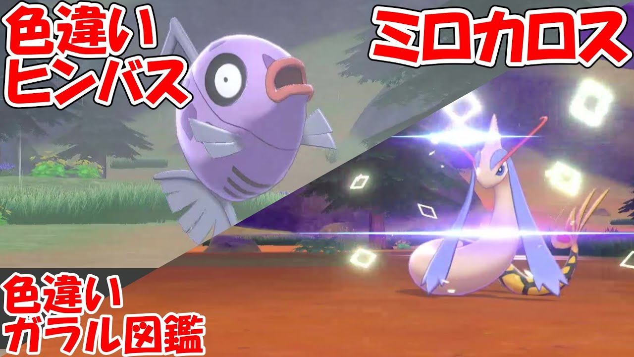 【ポケモン剣盾】ヒンバス・ミロカロス色厳選（少しだけ3DSもあるよ）【ガラル色図鑑⑬】ゆっくり実況