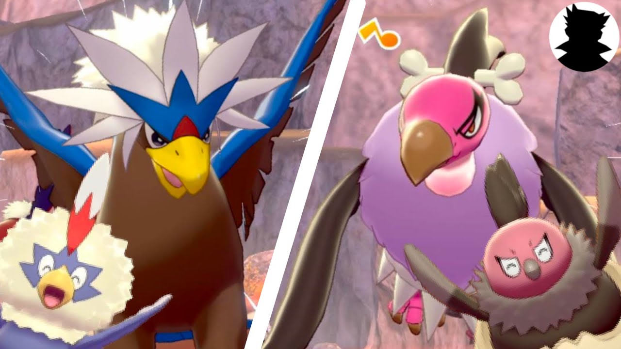 【ポケモンキャンプリサーチ】ウォーグル・バルジーナ・ワシボン・バルチャイ/進化系とかわいい色違い