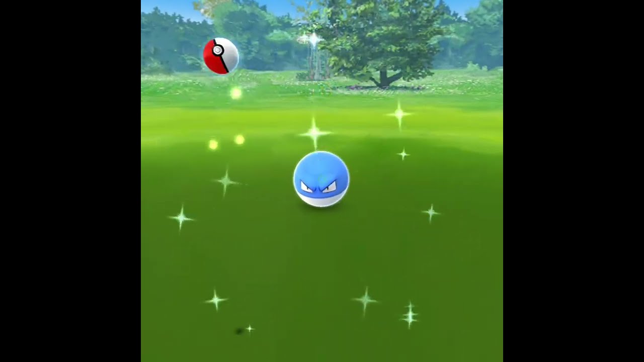 青ビリリダマようやく来てくれた😍せっかくだからスーパーボールで捕まえようと思ってたのに見た瞬間テンション上がって通常ボール投げてた😭 #ポケモンGO #色違い #ビリリダマ