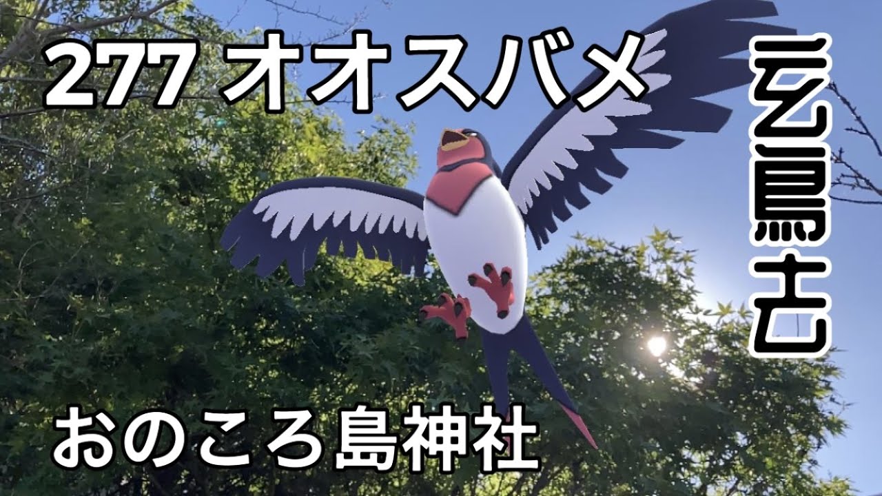 【ポケGO動くポケモンずかん】277オオスバメ｜Swellow｜玄鳥去（つばめさる）｜おのころ島神社｜あわじ花へんろ｜七十二候｜第四十五候｜AR動画｜PoKeMoN GO AR