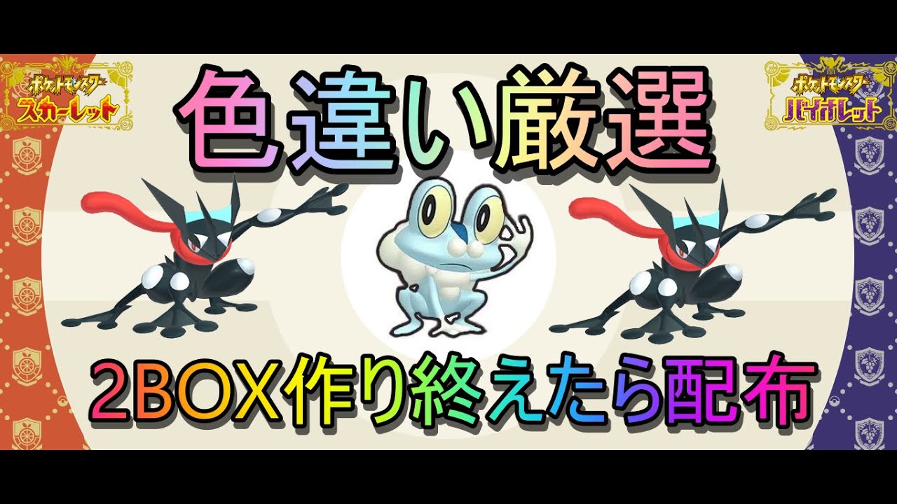 【ポケモンSV】激レア『色違いケロマツ』2BOX分作る！残り54匹