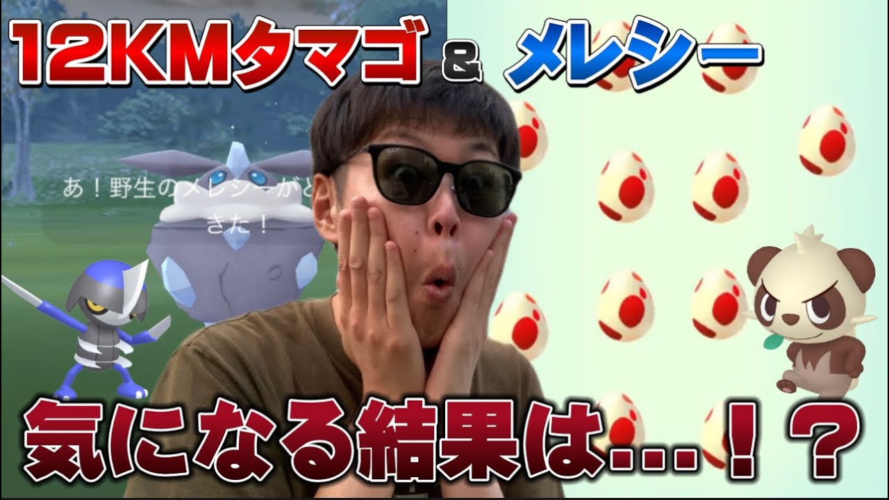 メレシーの個体値と12KMタマゴ12連！色違いヤンチャム！？！？【ポケモンGO】