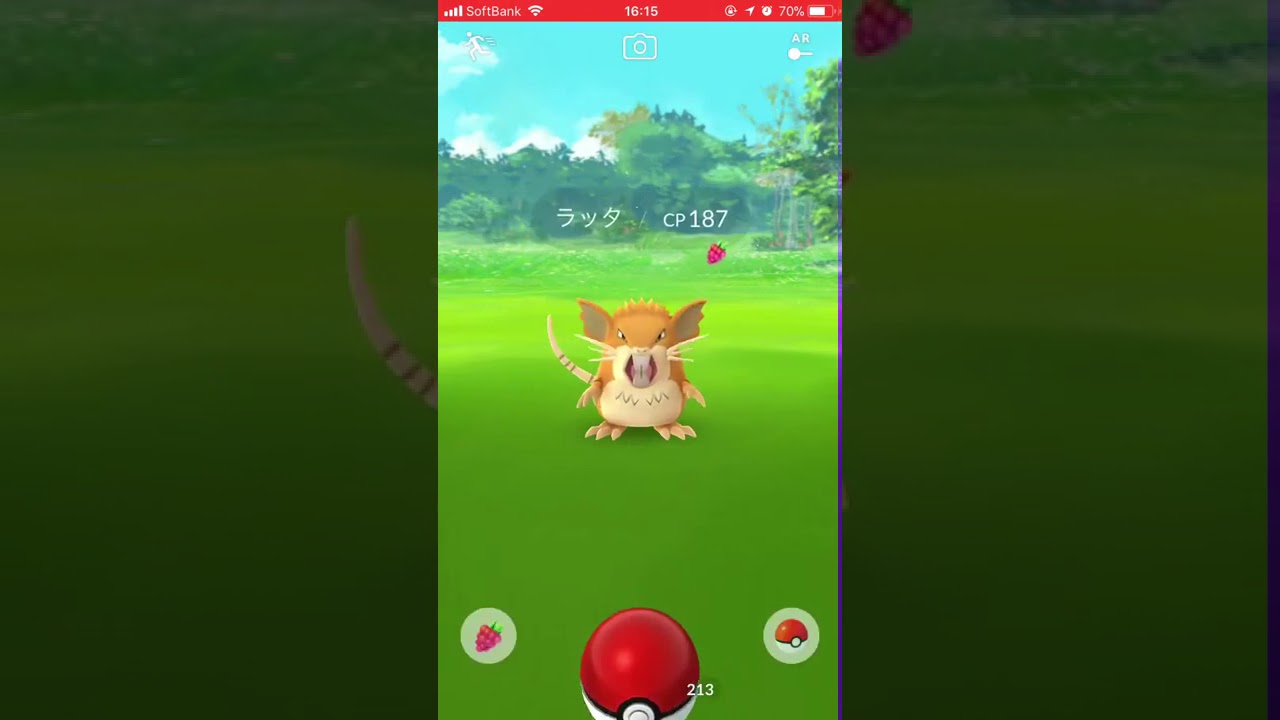 ポケモンGO初ゲット〜ラッタ